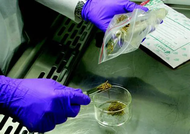 benda tertua di dunia