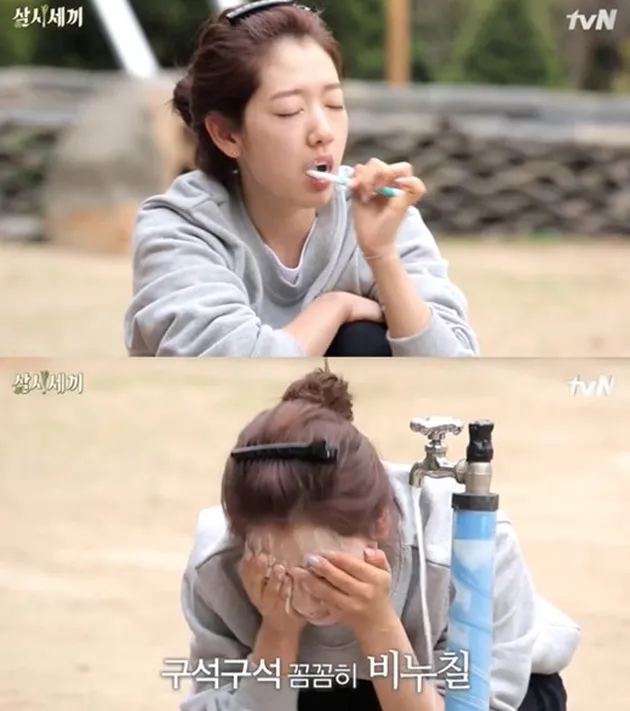 Park Shin Hye