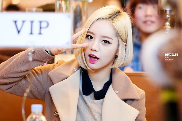 94 liner
