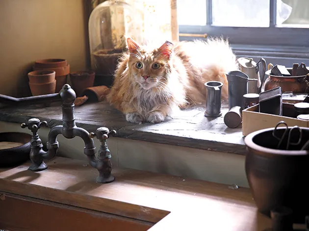 Hunger Games Mockingjay Part 2