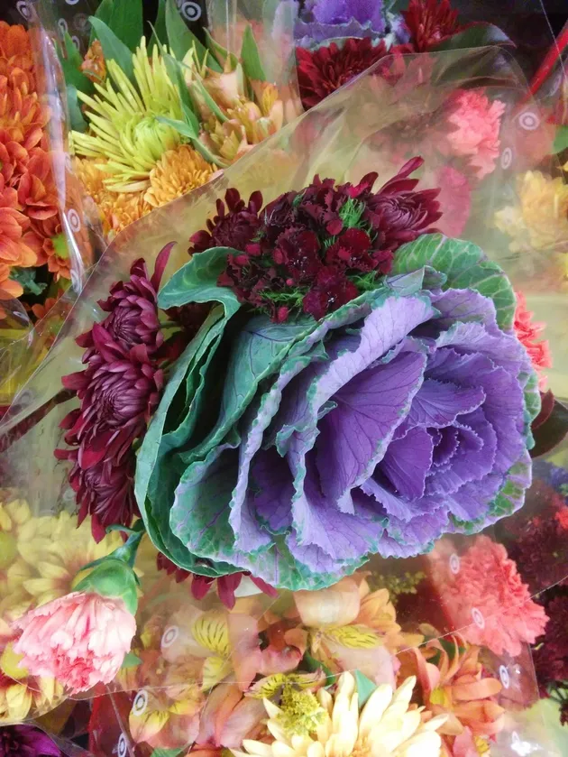 Foto Aneh, Foto Unik