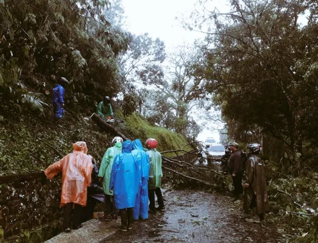 kebun raya cibodas, cibodas ditutup
