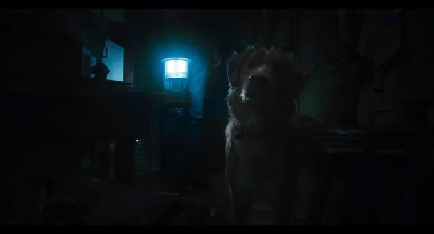 Sinopsis film Good Boy