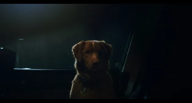 Sinopsis film Good Boy