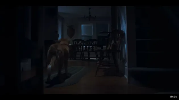Sinopsis film Good Boy