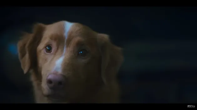 Sinopsis film Good Boy