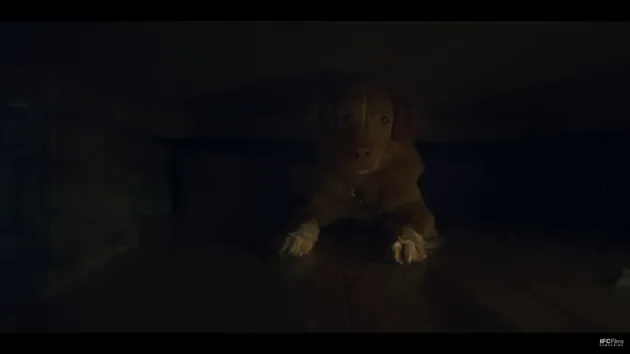 Sinopsis film Good Boy