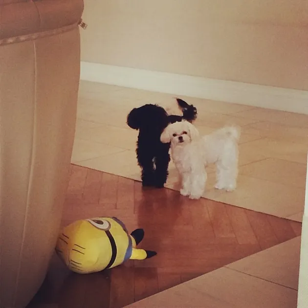 Taeyeon Girls Generation