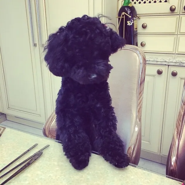 Taeyeon Girls Generation