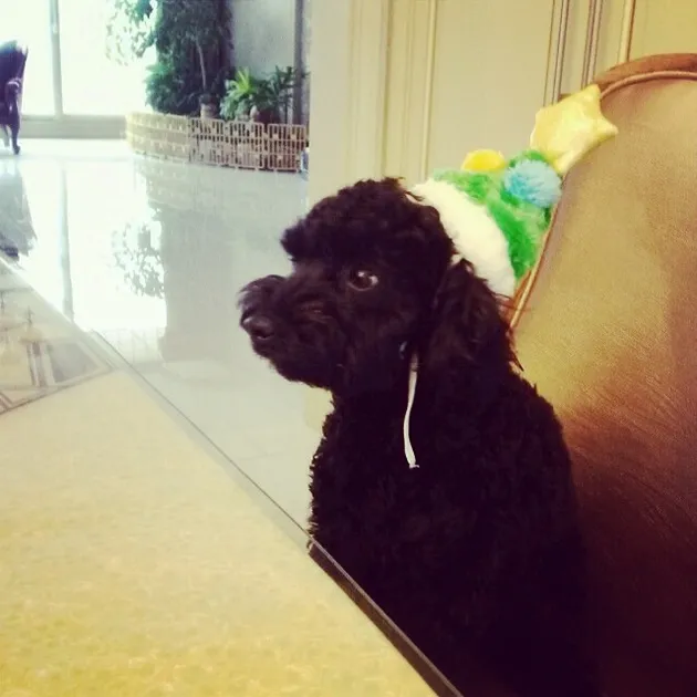 Taeyeon Girls Generation