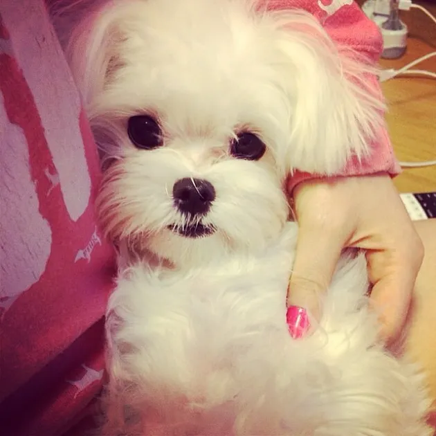 Taeyeon Girls Generation