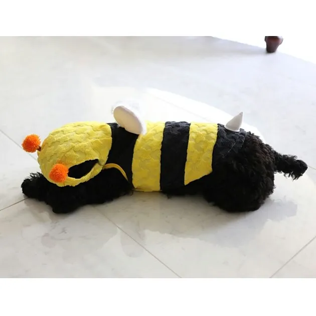 Taeyeon Girls Generation