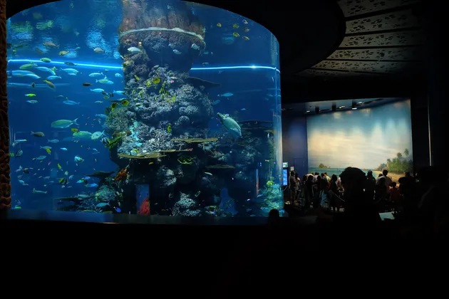 Halloween Horror Nights 7