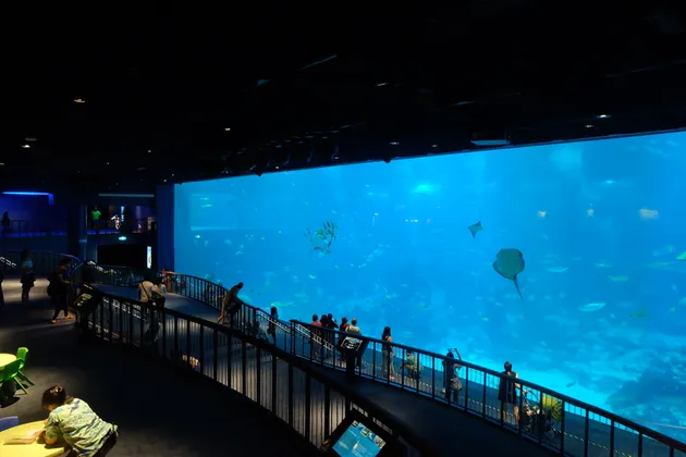 Halloween Horror Nights 7