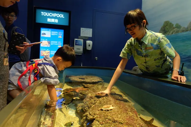 Halloween Horror Nights 7