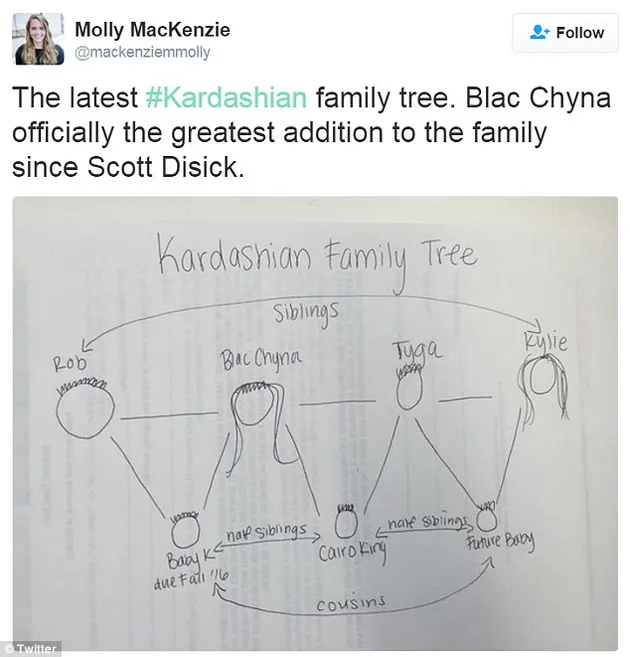 Meme Blac Chyna Hamil
