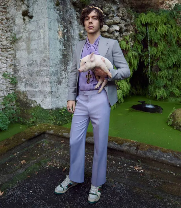 Harry Styles Gucci