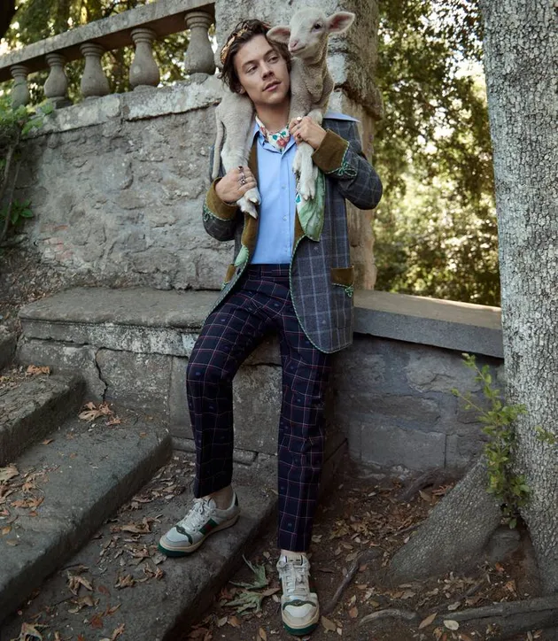 Harry Styles Gucci