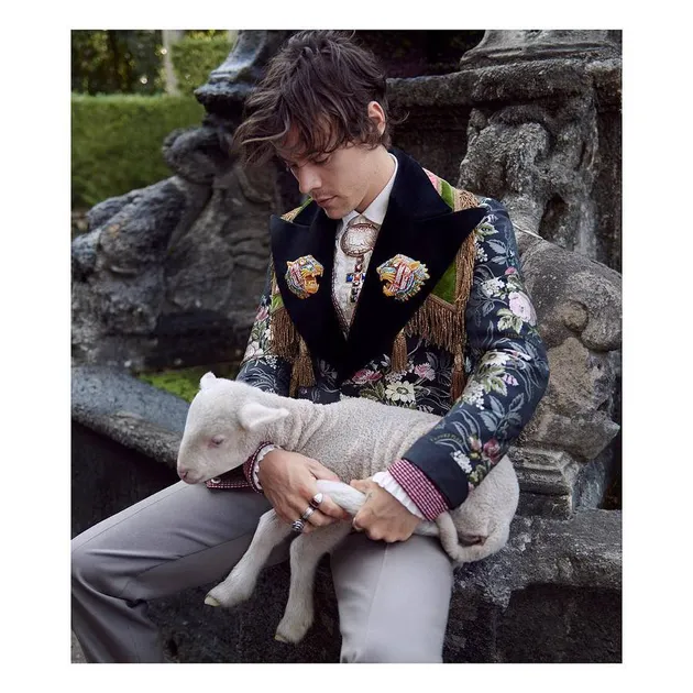 Harry Styles Gucci