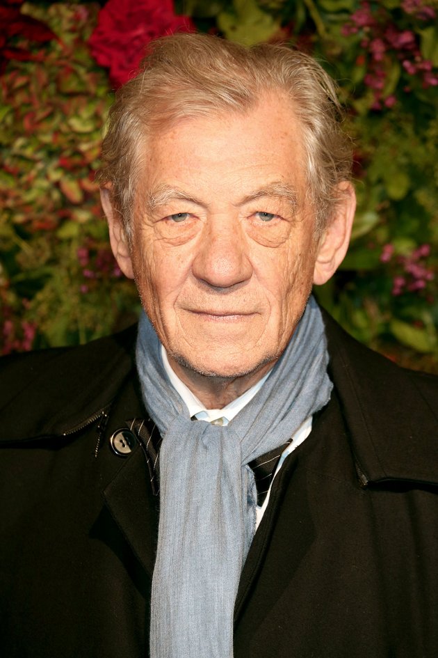 Ian McKellen Taken to Hospital After Falling During Theater Performance