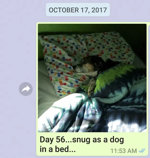 Pesan Menyentuh Dalam Setahun