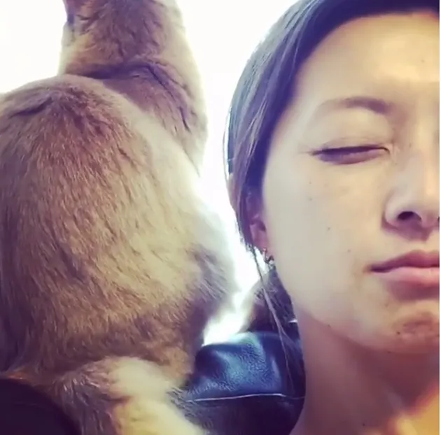 Tomiko Van