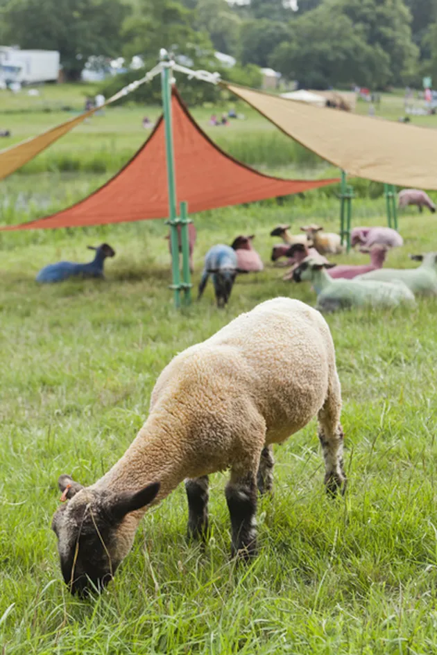 Latitude Festival
