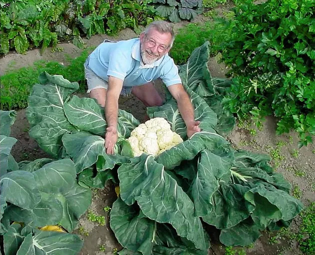 Buah dan Sayur Terbesar di Dunia