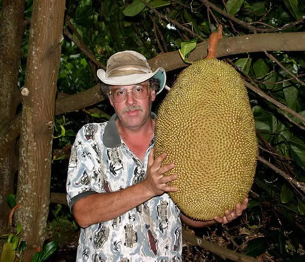 Buah dan Sayur Terbesar di Dunia
