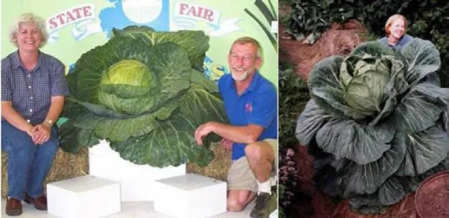 Buah dan Sayur Terbesar di Dunia