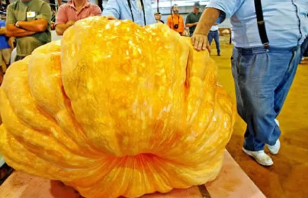 Buah dan Sayur Terbesar di Dunia