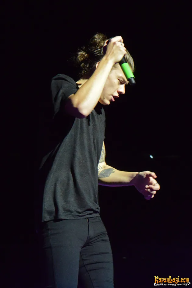 Harry Styles