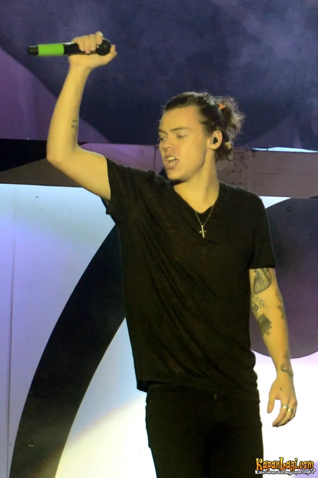 Harry Styles