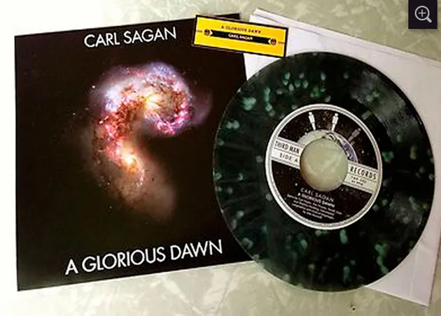vinyl dengan bentuk unik