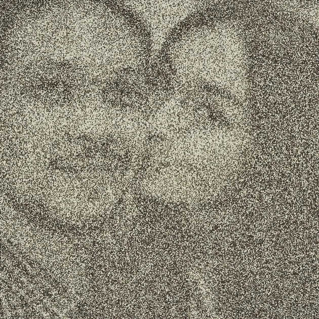 Zaskia Shinta &amp; Arief Fitriansah