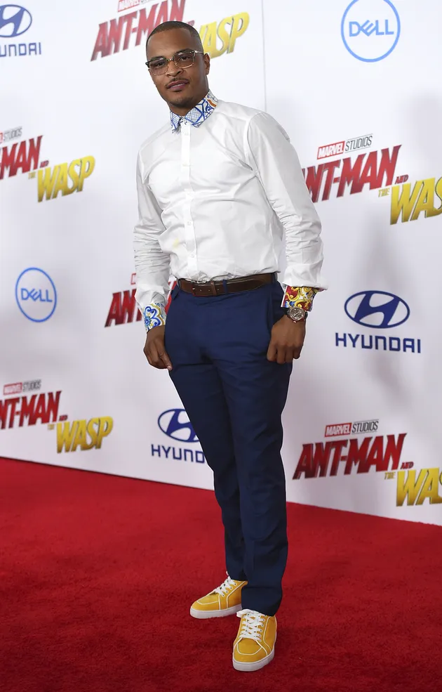 ant and the wasp premier