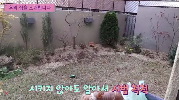 rumah chungha