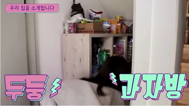 rumah chungha