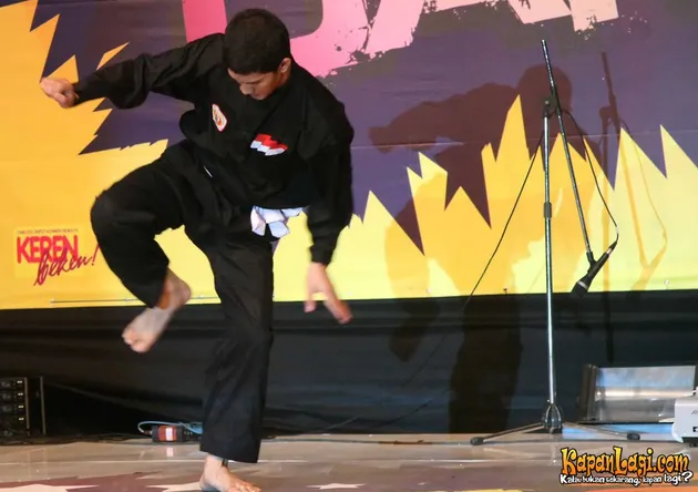 iko uwais