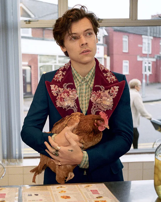 Harry Styles Gucci