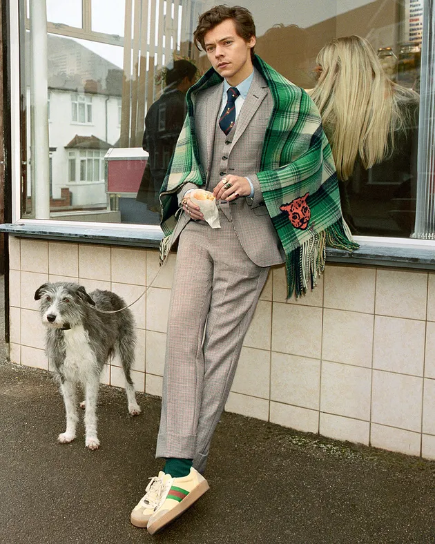 Harry Styles Gucci