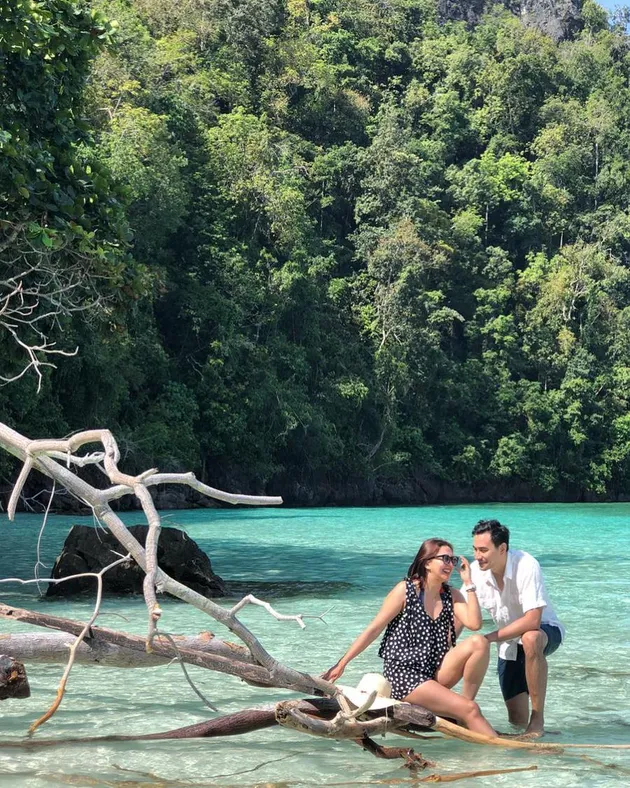 Darius Sinathrya dan Donna Agnesia
