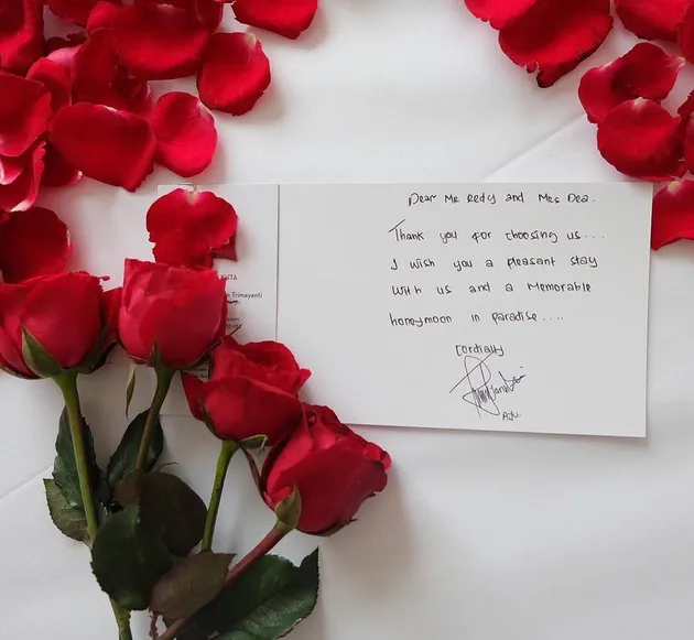 Ryana Dea - Puadin Redi