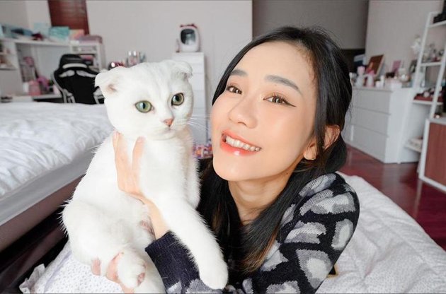 8 Portraits of Indonesian Celebrities Showing Their Love for Cats as Beloved Pets - Some of Them Have Expensive Cat Breeds