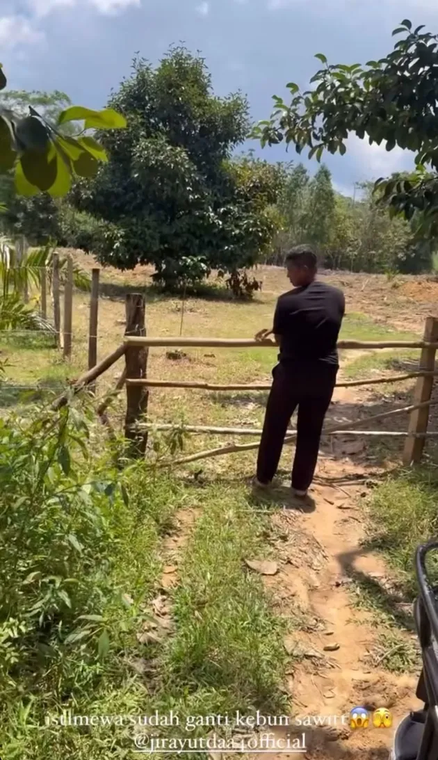 Jirayut Absen dari Panggung DA7