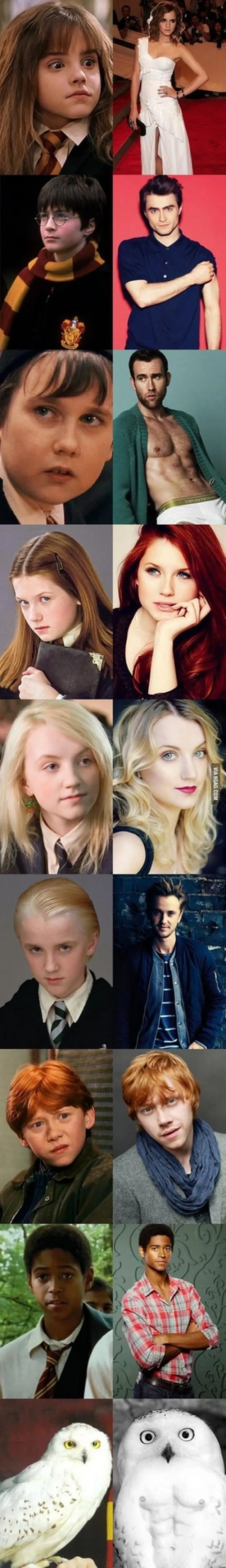 Jokes Harry Potter