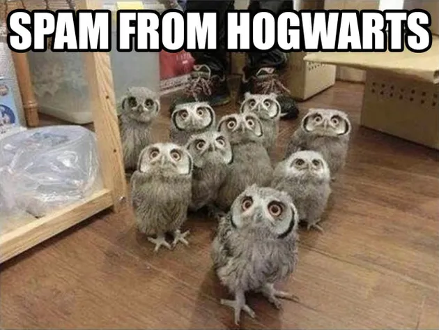 Jokes Harry Potter