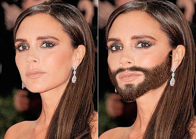 Bearded Lady
