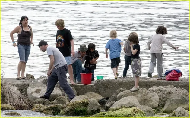 jolie_pitt_perancis