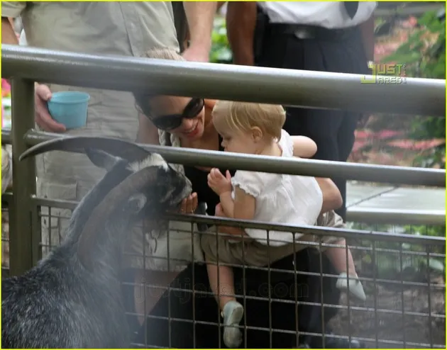 jolie_pitt